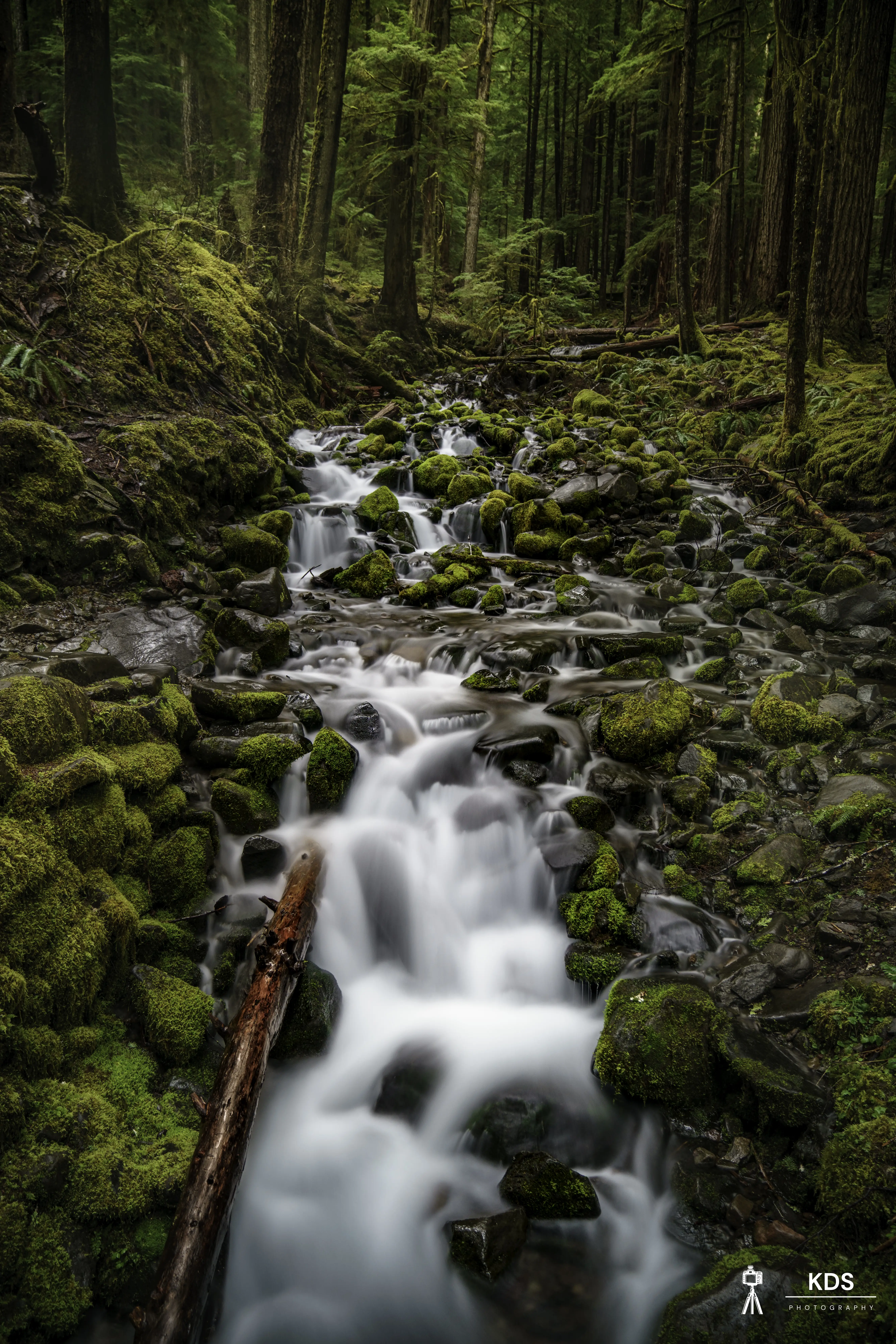 Sol Duc Creek